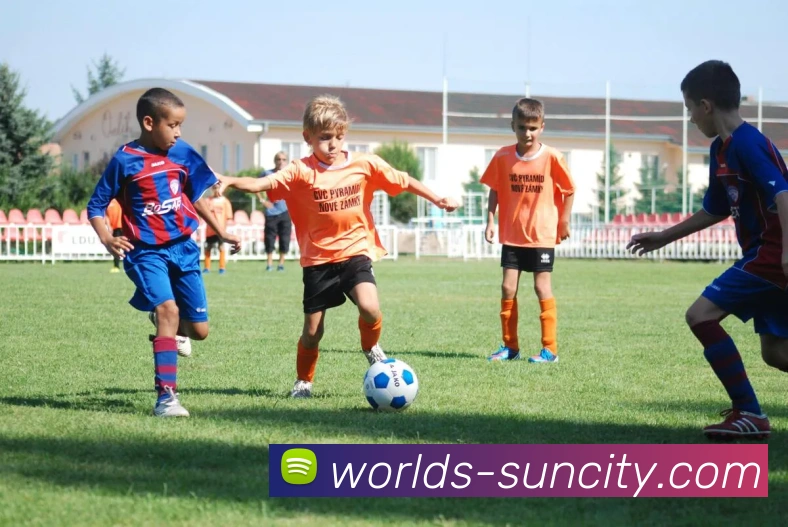 太阳城官网平台生态图